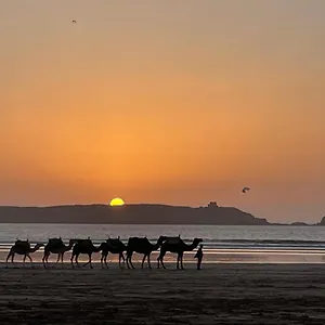 Séjour chez l'habitant La Symbiose, Essaouira